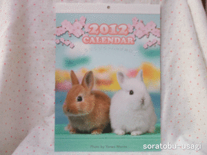 �ySALE�z2012�J�����_�[�@�������������̖�����