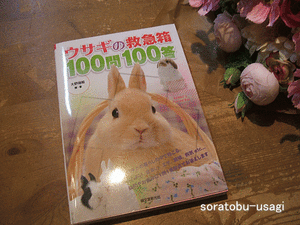yЁzETM̋~}100100iVЁj